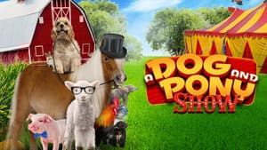 A Dog and Pony Show — foto 2