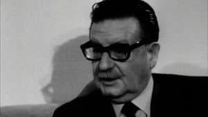 Intervista a Salvatore Allende — foto 1