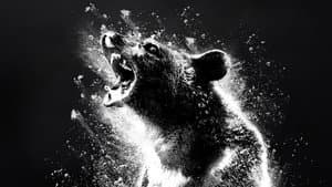 Oso intoxicado — foto 2