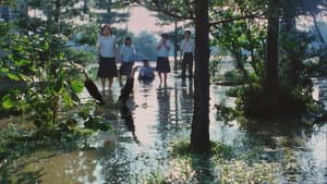 台風クラブ — foto 8