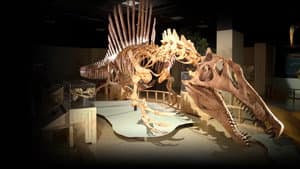 Top 10 Biggest Beasts Ever — foto 1