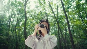 여름의 카메라 — foto 7