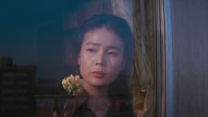 야행 — foto 1