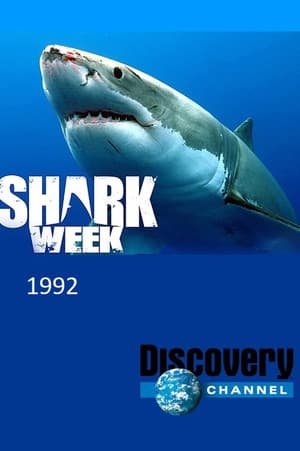 Temporada 5