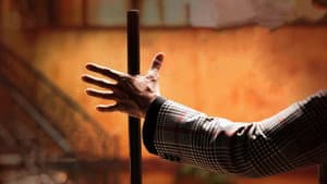 మిస్టర్‌ బచ్చన్ — foto 7