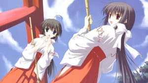 Suika — foto 2