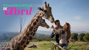 Enamorándome de Abril — foto 1