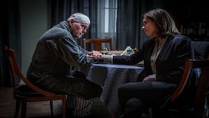 Beck - Den förlorade sonen — foto 4