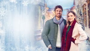 Parejas de navidad — foto 8