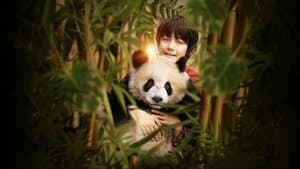 Moon, mi amigo panda — foto 1