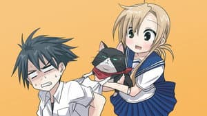 にゃんこい！ — foto 1