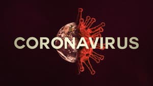 Coronavirus: El virus que paraliza la mundo — foto 4