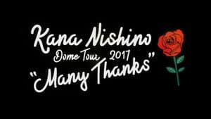 Kana Nishino Dome Tour 2017 Many Thanks — foto 1