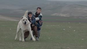 Sivas — foto 3