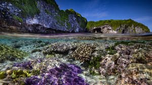 Protecting Paradise: The Story of Niue — foto 5