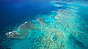 Ultimate Freedive: The Great Barrier Reef — foto 2