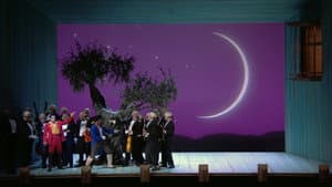Il Barbiere di Siviglia — foto 1