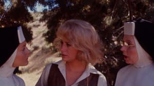 Weekend of Terror — foto 1