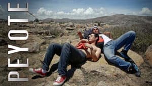 Peyote — foto 5