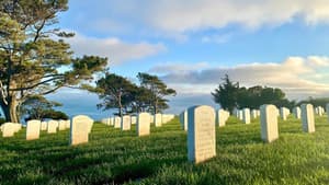 L'Amérique en Guerre — foto 5