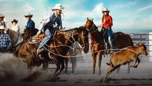 Ultimate Cowboy Showdown — foto 2