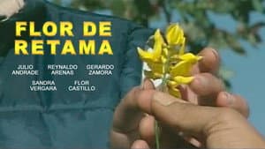 Flor de Retama — foto 1