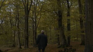 Nimis — foto 1