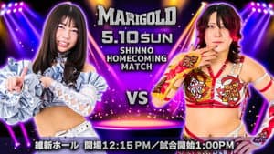 Marigold Shining Attack 2026 ~ Day 6 — foto 1