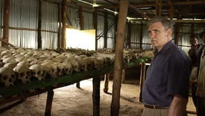 Shake Hands with the Devil: The Journey of Roméo Dallaire — foto 1