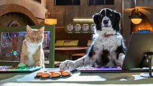 Como perros y gatos 3: Patitas unidas — foto 9