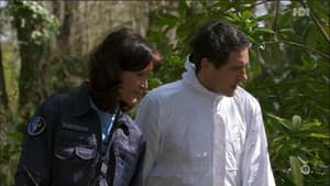 Episodio 8