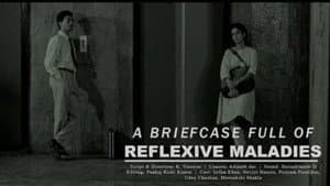 A Briefcase Full of Reflexive Maladies — foto 2