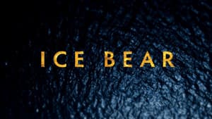 Osos Polares: Ice Bear — foto 4