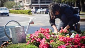 Un jardín para Pichón — foto 2