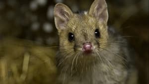 Quoll Farm — foto 1