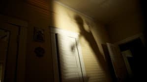 Shadow People — foto 4