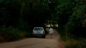 Vinguin les feres — foto 4