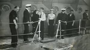 Our Fighting Navy — foto 1