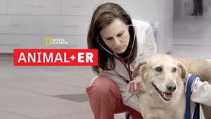 Animal ER — foto 6