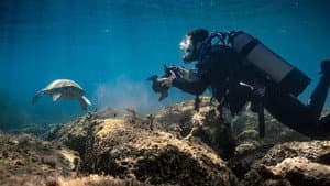 Méditerranée: L'odyssée pour la vie — foto 2