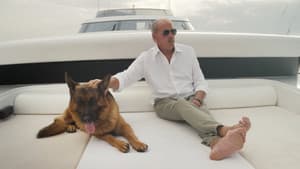 Un perro con suerte