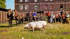 Grzeszny żywot Franciszka Buły — foto 9