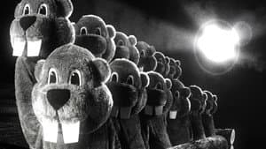 Hundreds of Beavers — foto 9