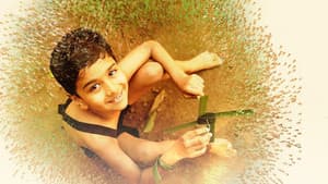 ഓലപ്പീപ്പി — foto 1