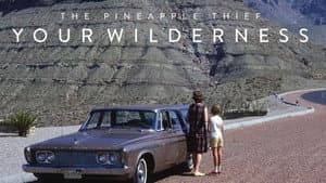 The Pineapple Thief: Your Wilderness — foto 1