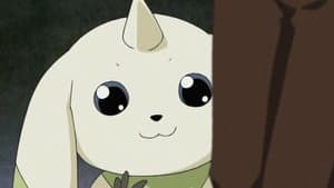 Terriermon aparece