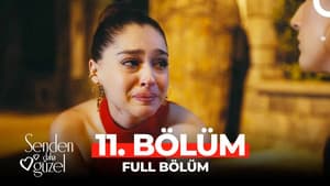 Episodio 11