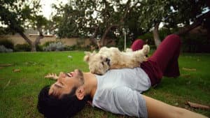 Doggy Bank — foto 1