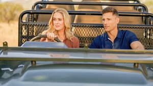 A Safari Romance — foto 7