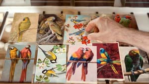 Langue des oiseaux — foto 1